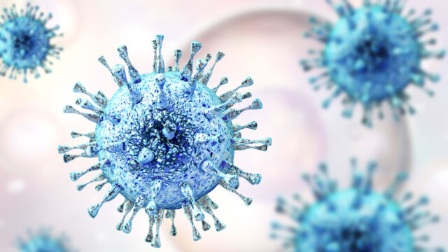 HERPESVIRUS: Cytomegalovirus (CMV) er et virus som tilhører herpesvirusfamilien og er svært utbredt hos mennesker Foto: NTB Scanpix/Shutterstock HERPESVIRUS: Cytomegalovirus (CMV) er et virus som tilhører herpesvirusfamilien og er svært utbredt hos mennesker Foto: NTB Scanpix/Shutterstock